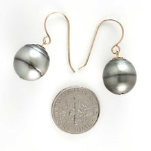 Load image into Gallery viewer, Genuine Baroque Tahitian Pearl Fish-Hook Earrings Gold-Filled