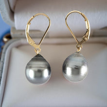 Load image into Gallery viewer, Gold-Filled Baroque Tahitian Pearl Leverback Earrings
