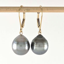 Load image into Gallery viewer, Gold-Filled Baroque Tahitian Pearl Leverback Earrings