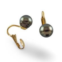Load image into Gallery viewer, Non Pierced Black Tahitian Pearl Clip-On Earrings
