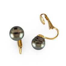 Load image into Gallery viewer, Non Pierced Black Tahitian Pearl Clip-On Earrings