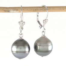 Load image into Gallery viewer, Gold-Filled Baroque Tahitian Pearl Leverback Earrings