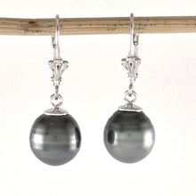 Load image into Gallery viewer, Solid Sterling Silver .925 Leverback Gray Tahitian Pearl Earrings