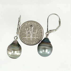 91T0112B  GENUINE TAHITIAN PEARL LEVERBACK DANGLE EARRINGS