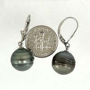 91T0121  NATURAL GRAY GENUINE TAHITIAN PEARL LEVERBACK DANGLE EARRINGS