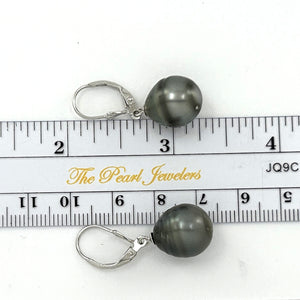 91T0123  GENUINE TAHITIAN BLACK PEARL LEVERBACK DANGLE EARRINGS