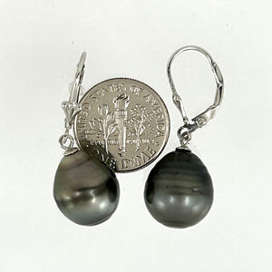 91T0123  GENUINE TAHITIAN BLACK PEARL LEVERBACK DANGLE EARRINGS