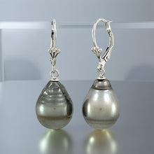 Load image into Gallery viewer, Genuine Tahitian Black Pearl Leverback Dangle Earrings