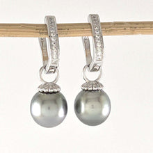 Load image into Gallery viewer, Solid Sterling Silver .925 Gray-Blue Tahitian Pearl Euro-Back Dangle Earrings