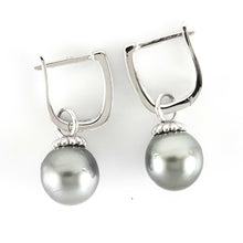 Load image into Gallery viewer, Solid Sterling Silver .925 Gray-Blue Tahitian Pearl Euro-Back Dangle Earrings