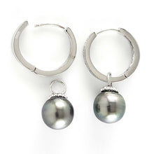 Load image into Gallery viewer, Solid Sterling Silver .925 Black-Green Overtone Tahitian Pearl C-Hoop Earrings