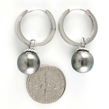 Load image into Gallery viewer, Solid Sterling Silver .925 Black-Green Overtone Tahitian Pearl C-Hoop Earrings