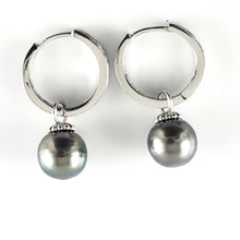 Load image into Gallery viewer, Solid Sterling Silver .925 Black-Green Overtone Tahitian Pearl C-Hoop Earrings