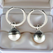 Load image into Gallery viewer, Solid Sterling Silver .925 Green-Silver Overtone Tahitian Pearl C-Hoop Earrings