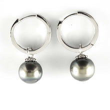 Load image into Gallery viewer, Solid Sterling Silver .925 Green-Olive Tahitian Pearl C-Hoop Dangle Earrings
