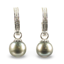 Load image into Gallery viewer, Solid Sterling Silver .925 Green-Olive Tahitian Pearl C-Hoop Dangle Earrings