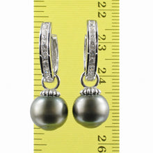 Load image into Gallery viewer, Solid Sterling Silver .925 Green-Olive Tahitian Pearl C-Hoop Dangle Earrings