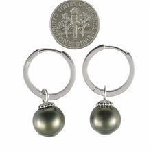 Load image into Gallery viewer, Solid Sterling Silver .925 Green-Olive Tahitian Pearl C-Hoop Dangle Earrings