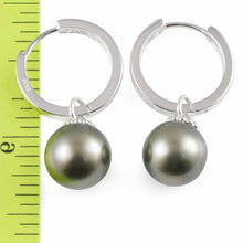 Load image into Gallery viewer, Solid Sterling Silver .925 Green-Olive Tahitian Pearl C-Hoop Dangle Earrings
