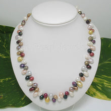 Load image into Gallery viewer, Multi-Color Freshwater Pearl Necklace – Sterling Silver Clasp