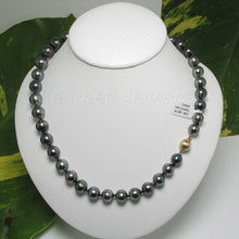 Load image into Gallery viewer, Beautiful 14k Yellow Gold Clasp Graduated Black Tahitian Pearl Necklace
