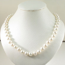 Load image into Gallery viewer, White Freshwater Pearl Hand-Knotted Necklace with 925 Silver Clasp