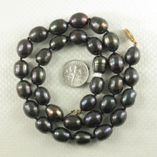 Load image into Gallery viewer, Hand-Knotted Black Rice Pearl Necklace with Gold-Filled Clasp