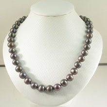 Load image into Gallery viewer, Chocolate Freshwater Cultured Pearl Hand-Knotted Necklace with Gold-Filled Clasp