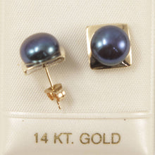 Load image into Gallery viewer, 14K Yellow Gold Black Pearl Stud Earrings (9–10mm)