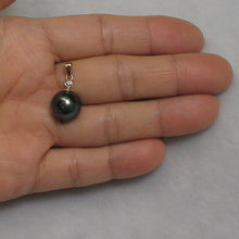 Load image into Gallery viewer, Genuine Black Tahitian Pearl &amp; 14k Yellow Gold Diamond Accent Pendant