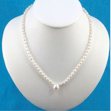 Load image into Gallery viewer, White Freshwater Pearl Necklace with 14k Gold Clasp