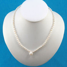 Load image into Gallery viewer, White Freshwater Pearl Pendant Necklace .925 Silver Clasp