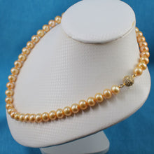Load image into Gallery viewer, Golden Freshwater Cultured Pearl Necklace with Magnet Clasp