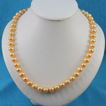 Load image into Gallery viewer, Golden Freshwater Cultured Pearl Necklace with Magnet Clasp