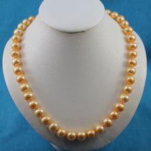 Load image into Gallery viewer, Golden Freshwater Cultured Pearl Hand-Knotted Necklace with Jumbo Spring Ring Clasp