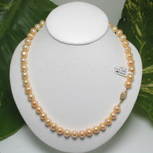 Load image into Gallery viewer, Golden Freshwater Cultured Pearl Necklace with Gold-Filled Clasp (17”)