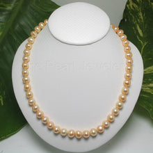 Load image into Gallery viewer, Golden Freshwater Cultured Pearl Necklace with Gold-Filled Clasp (17”)