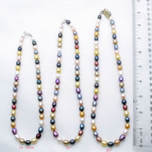 Load image into Gallery viewer, Multi-Color Freshwater Pearl Necklace – .925 Silver Clasp