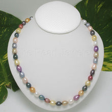 Load image into Gallery viewer, Multi-Color Freshwater Pearl Necklace – .925 Silver Clasp