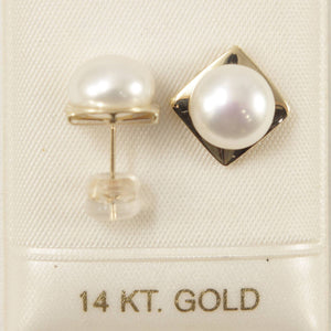 14K Yellow Gold White Pearl Stud Earrings (9–10mm)