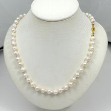 Load image into Gallery viewer, White Akoya Cultured Pearl Necklace with Alloy Trigger Clasp