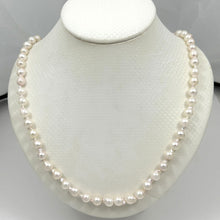 Load image into Gallery viewer, White Akoya Cultured Pearl Necklace with Alloy Trigger Clasp