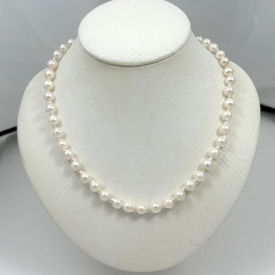 White Akoya Cultured Pearl Necklace with Alloy Trigger Clasp