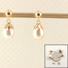 Load image into Gallery viewer, 14K Yellow Gold White Pearl Dangle Earrings with Claws