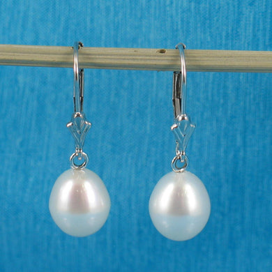 14k White Gold Raindrop White Pearl Lever Back Dangle Earrings