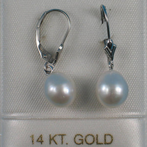14k White Gold Raindrop White Pearl Lever Back Dangle Earrings