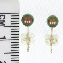 Load image into Gallery viewer, AAA 4.5–5 mm High Luster Black Cultured Pearl Stud Earrings