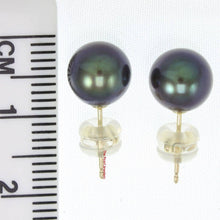 Load image into Gallery viewer, AAA 7.5–8 mm High Luster Black Cultured Pearl Stud Earrings