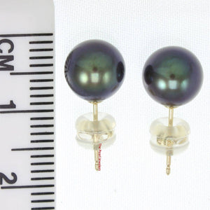 AAA 7.5–8 mm High Luster Black Cultured Pearl Stud Earrings