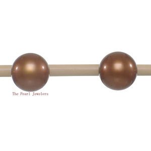 AAA 8–8.5 mm High Luster Chocolate Cultured Pearl Stud Earrings